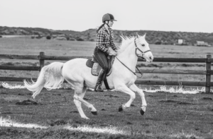 sofia morgan cutelittlepaws.com